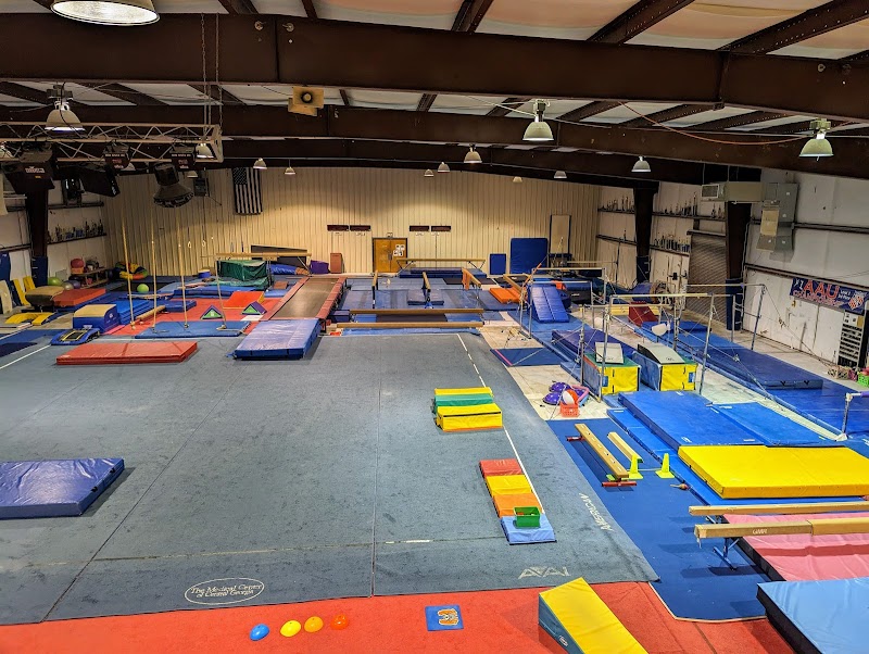 The Gym Nest