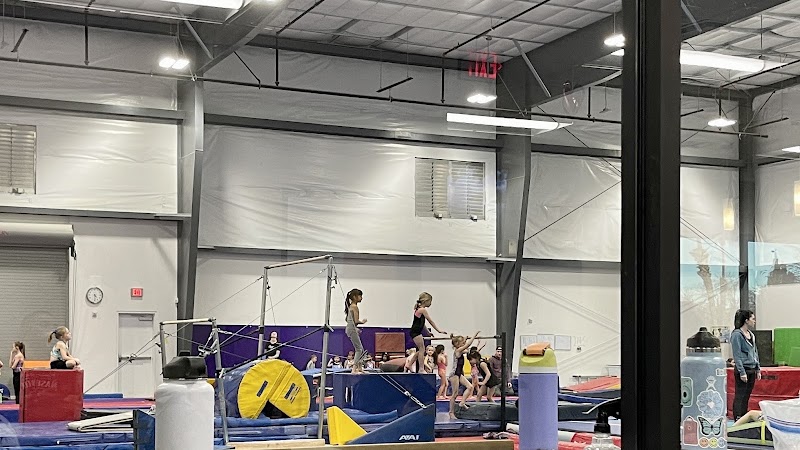 Desert Gymcats Flip 'N Twist photo 2