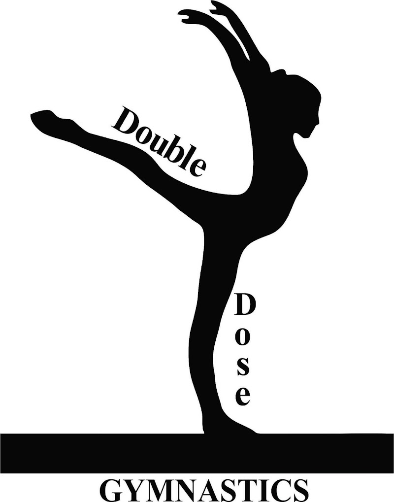 Double Dose Gymnastics LLC photo 3