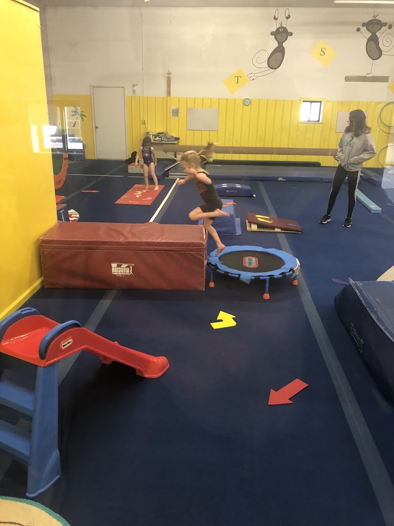 Tri- State Gymnastics