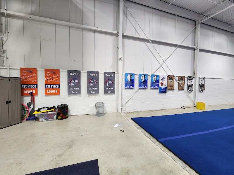 Lakeshore Academy of Gymnastics North photo 3