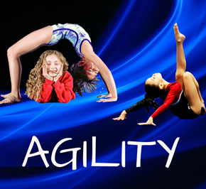 Youth Sports Virginia Training Center photo 3