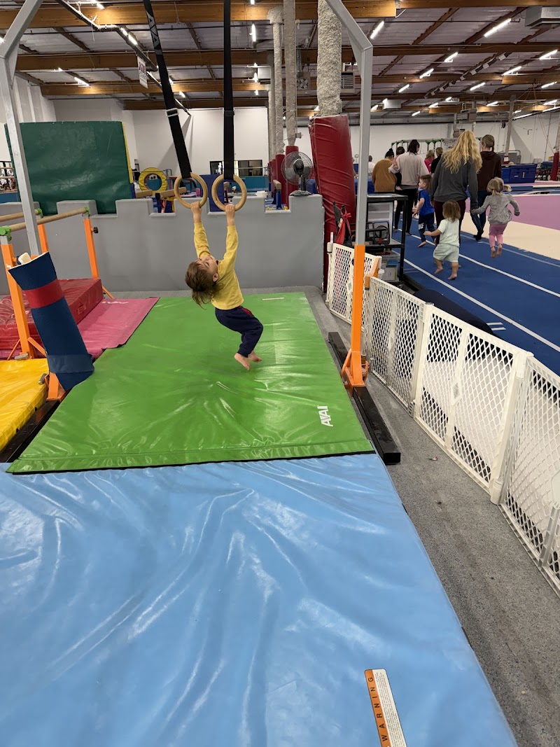 Technique Gymnastics