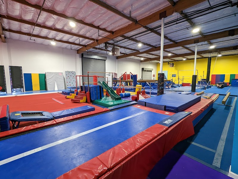 Twisters Gymnastics Inc. photo 3