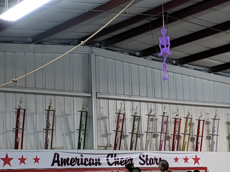 Big Gymnastics & Cheer photo 1