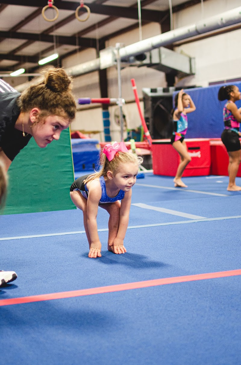 Titans Gymnastics and Cheer photo 2