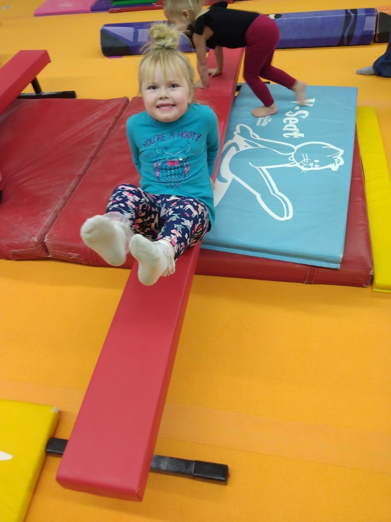Park Rapids Area Gymnastics photo 2