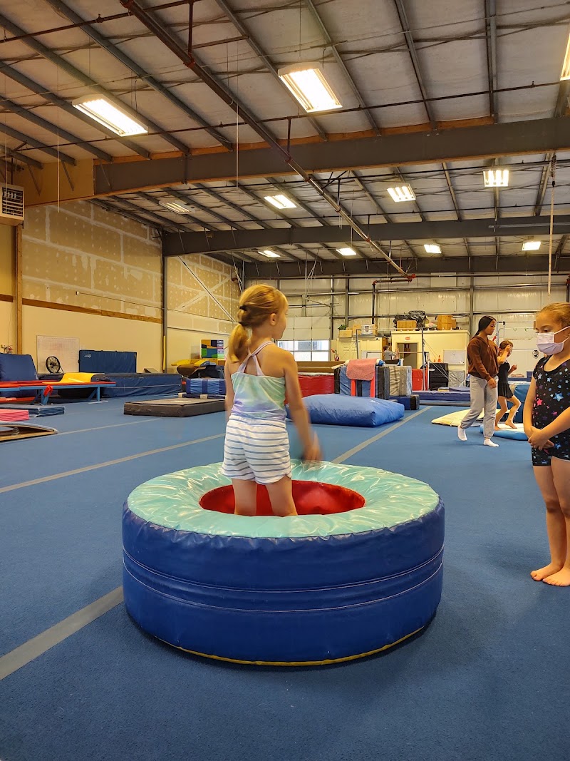Morrison Gymnastics Academy photo 3