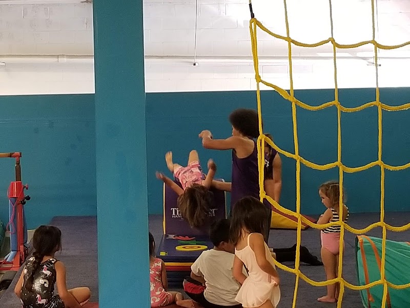 Island Tumblers Gymnastics photo 3