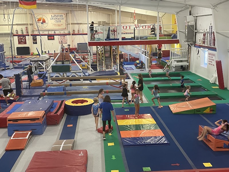 LaFleur's Gymnastics & Little Flipper Swim School photo 2