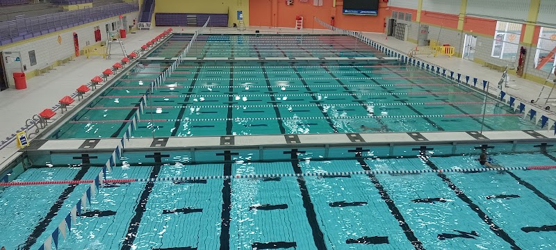 Sportsplex Gymnastics