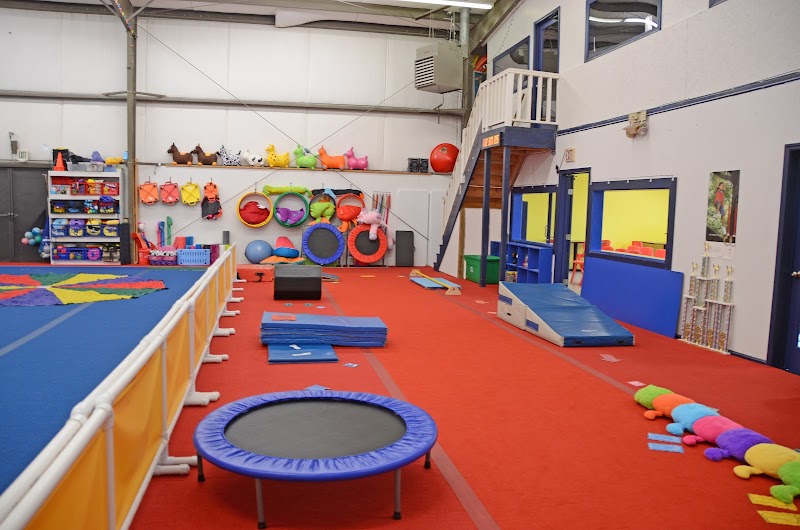 Blue Ribbon Sports