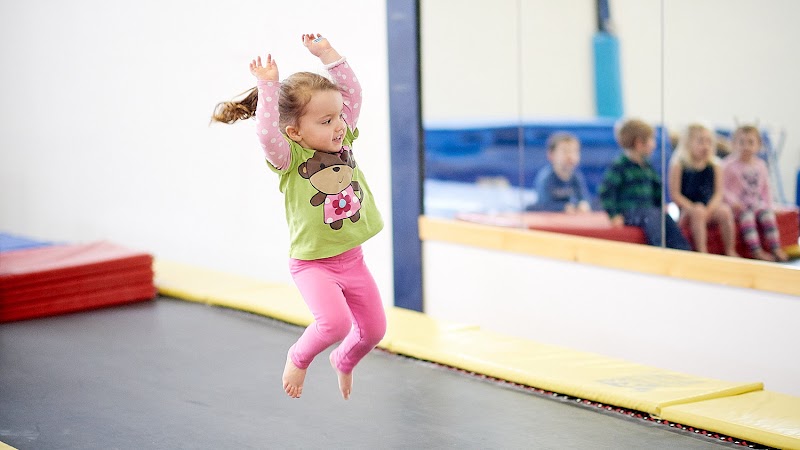 Oldsmar Boys Gymnastics Club LLC photo 3