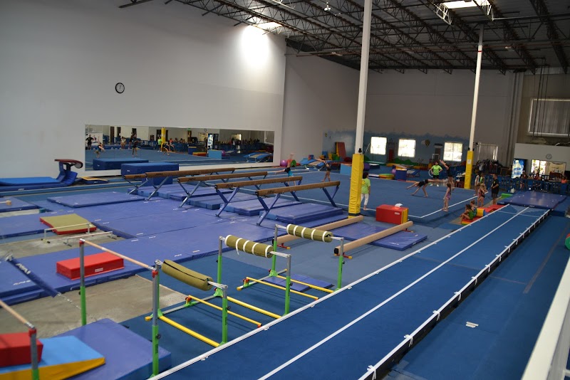 World Elite Gymnastics Ontario photo 3