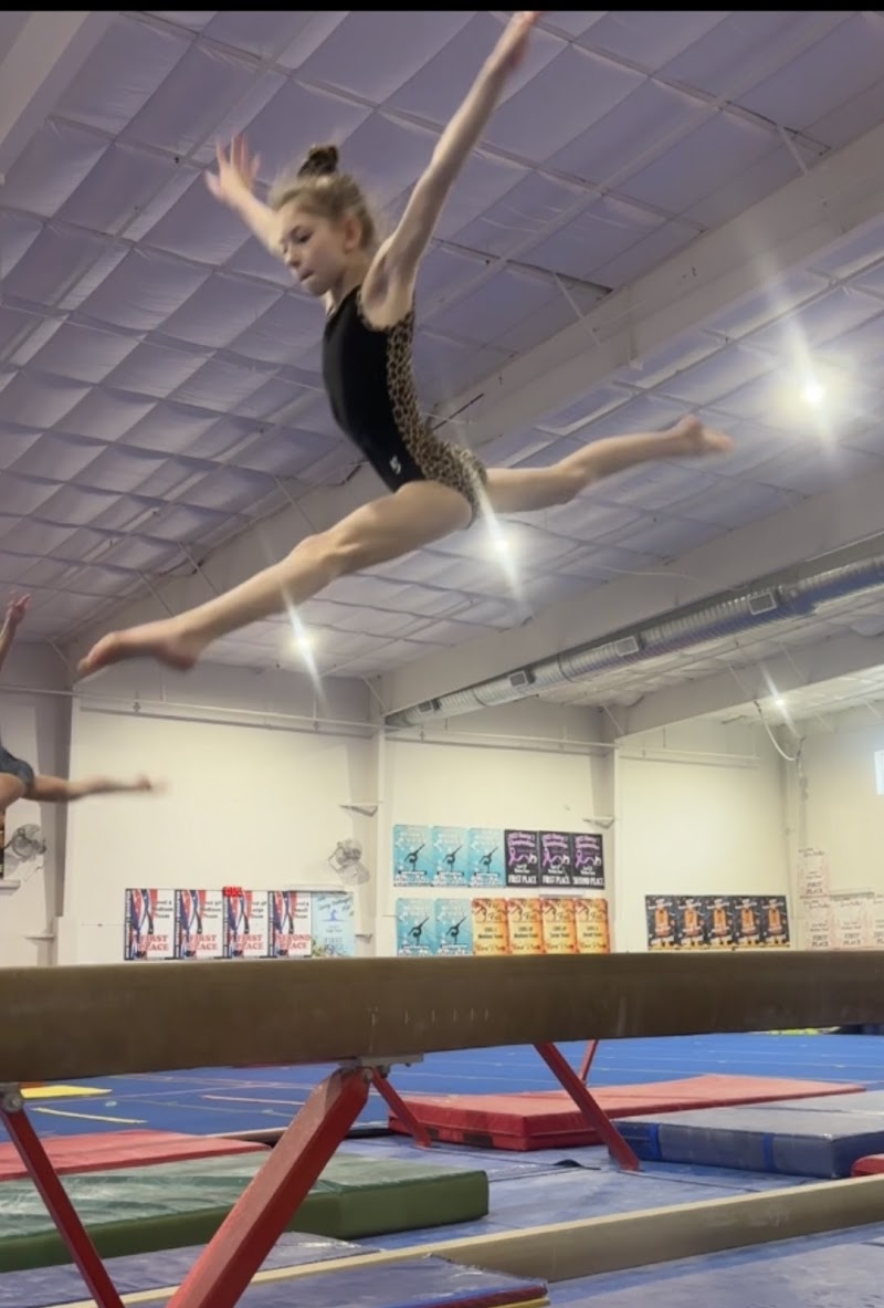 Love Gymnastics