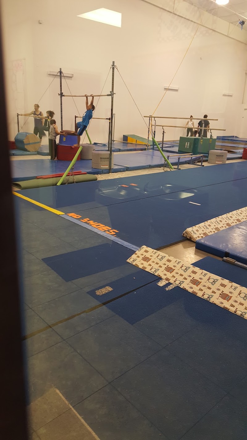 Love Gymnastics photo 3