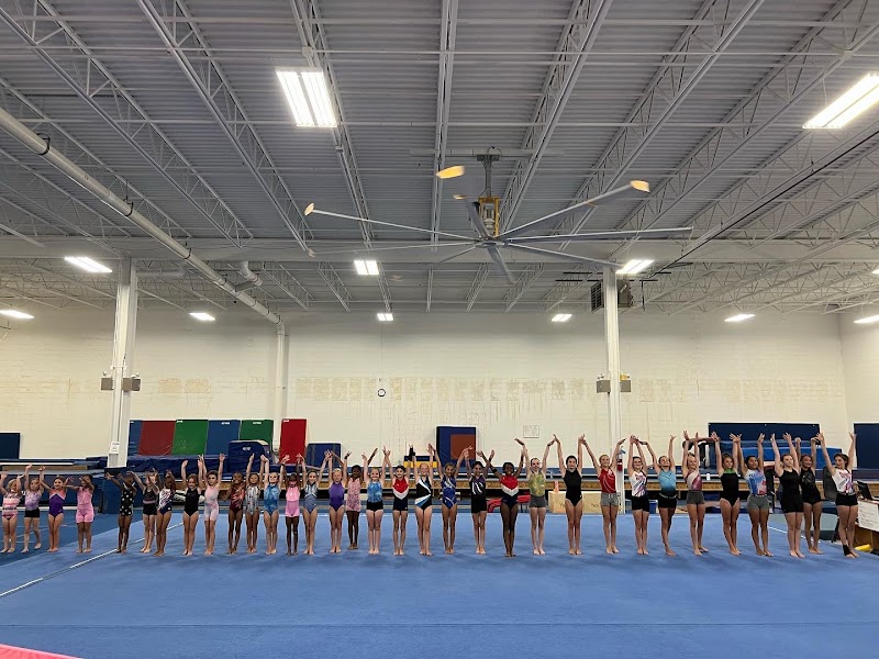 The Elite Gymnastics Academy