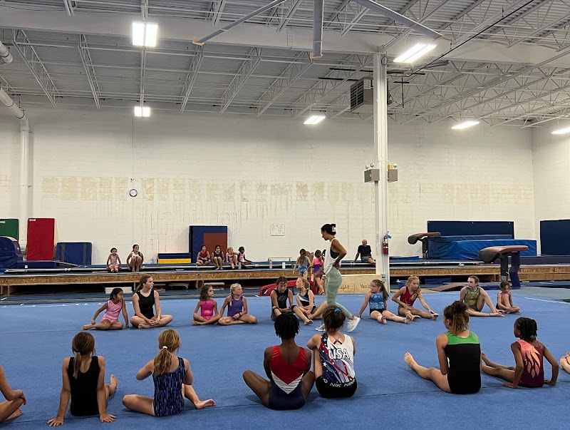 The Elite Gymnastics Academy photo 2