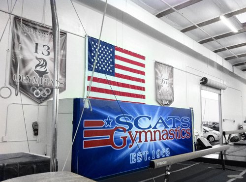 SCATS Gymnastics photo 3