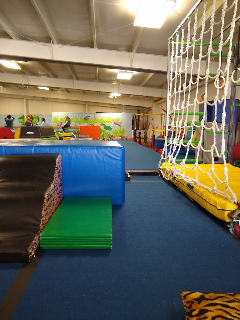 Perrysburg Gymnastic Center photo 3