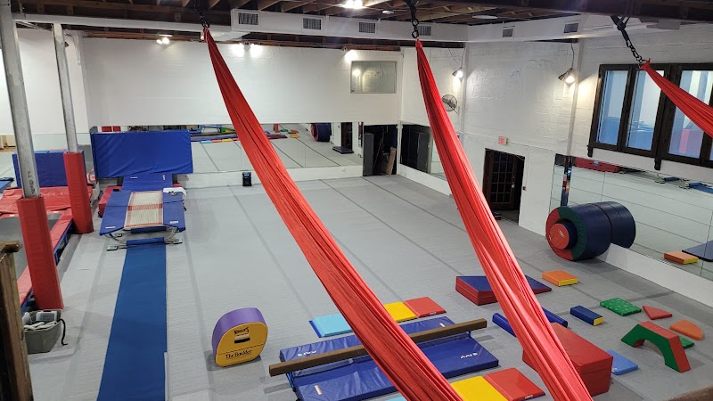 ALAGYMNASTICS