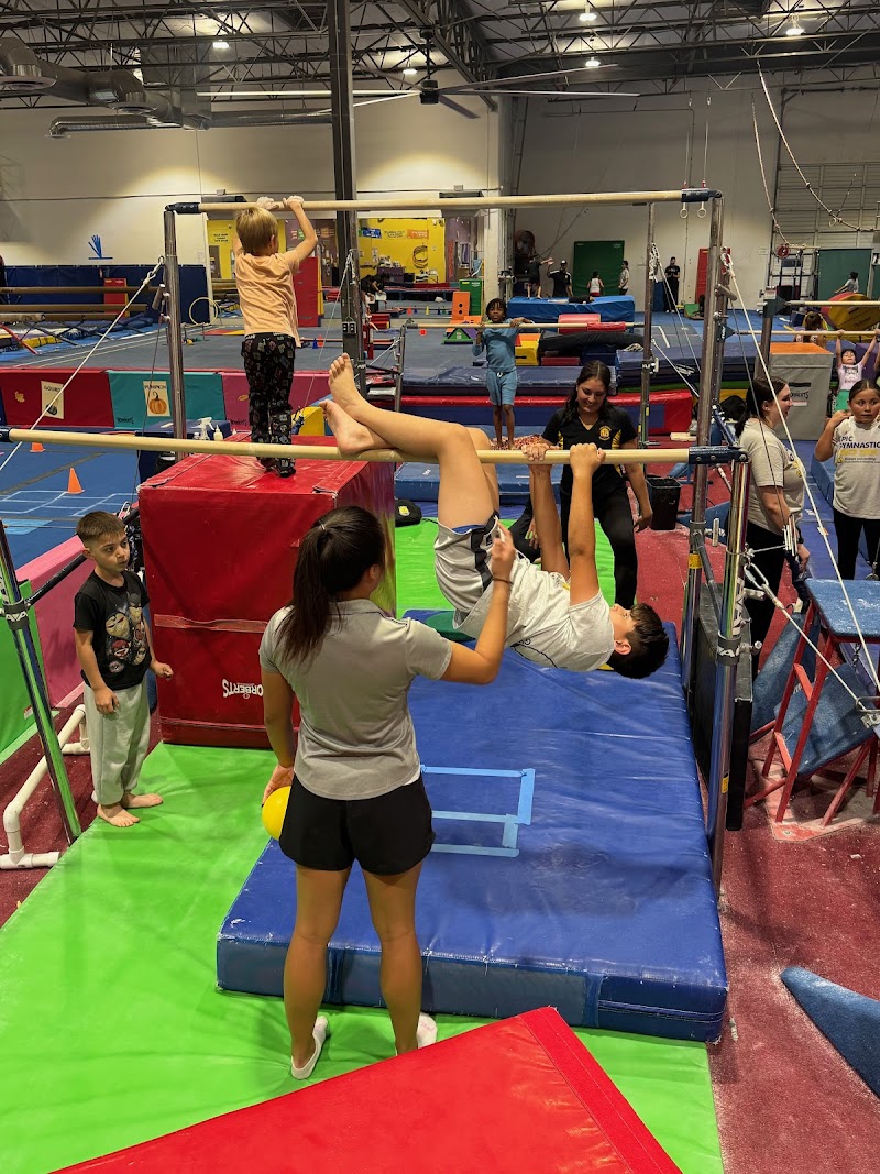Inland Empire Gymnastics Academy