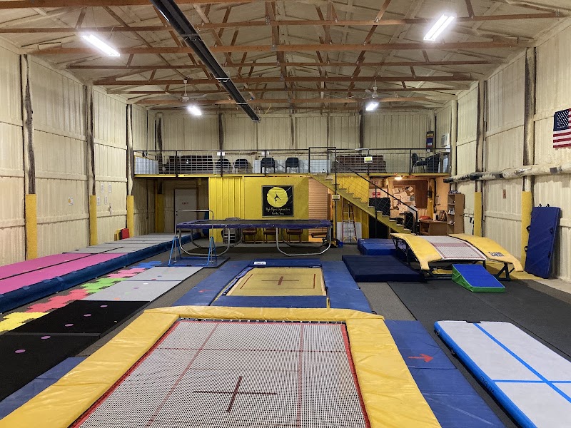 High Flyers Gymnastics photo 2