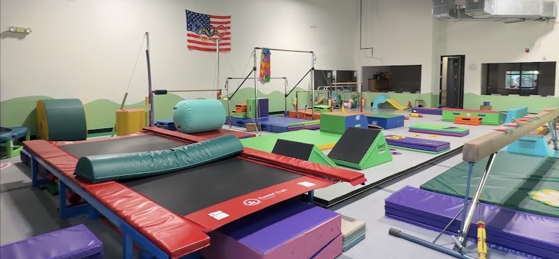 Wonder Gym