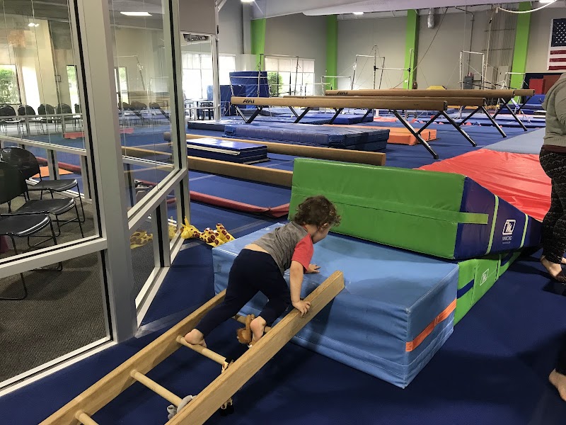 Performance Gymnastics Academy photo 3