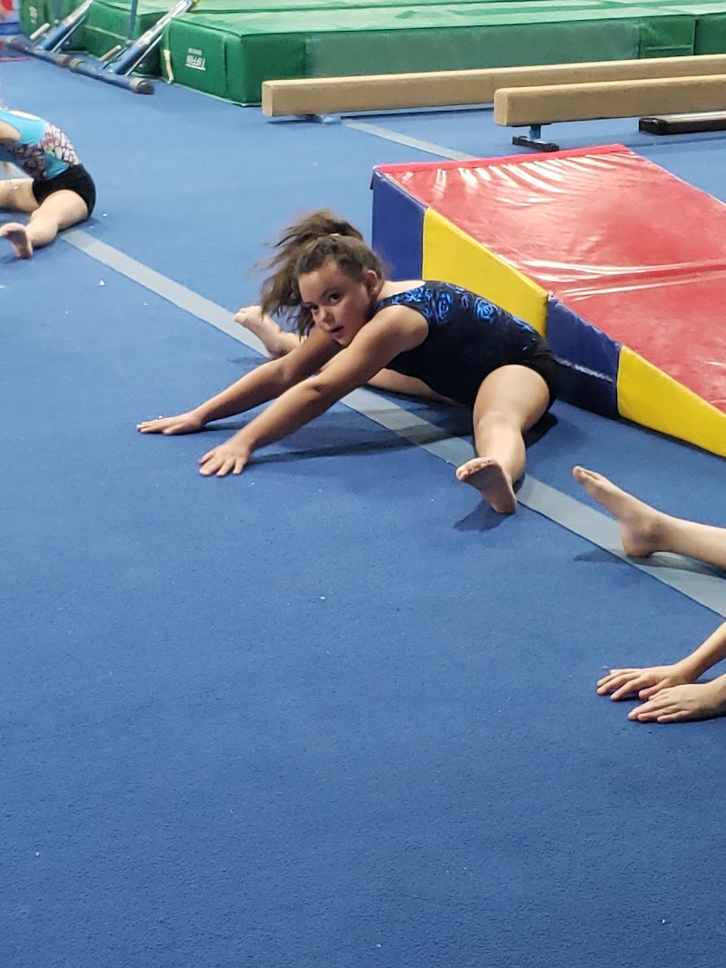 Virginia Techniques Gymnastics Inc. photo 2