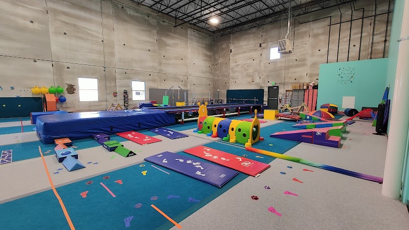 Dream Big Gymnastics photo 3