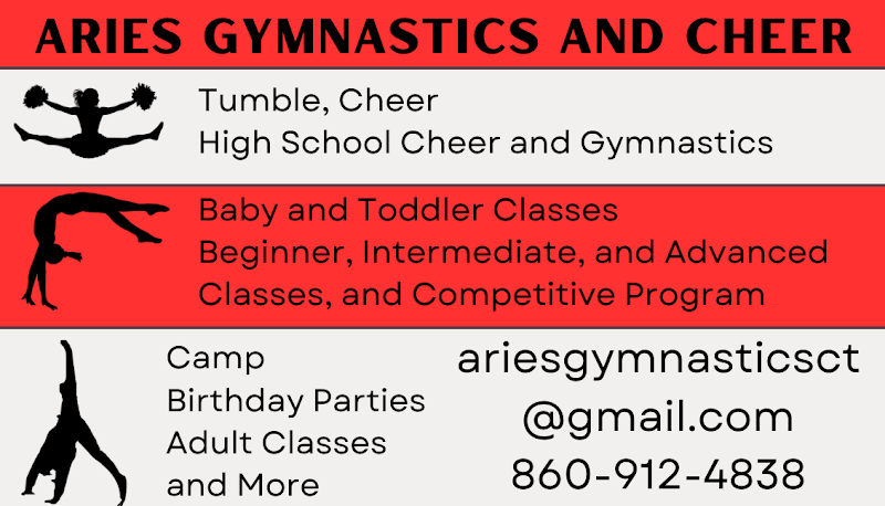 Aries Gymnastics LLC photo 2