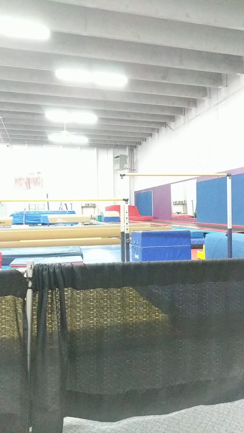 Gem State Gymnastics Academy photo 3