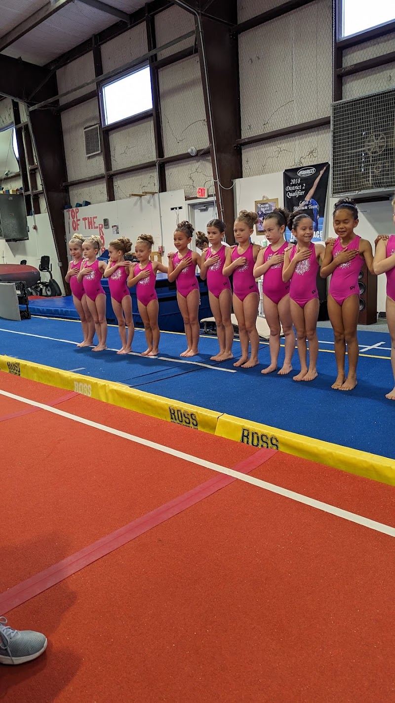 Top Flight Gymnastics Training Center photo 2