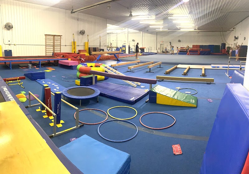 PowerHouse Gymnastics and Cheer Inc. photo 2