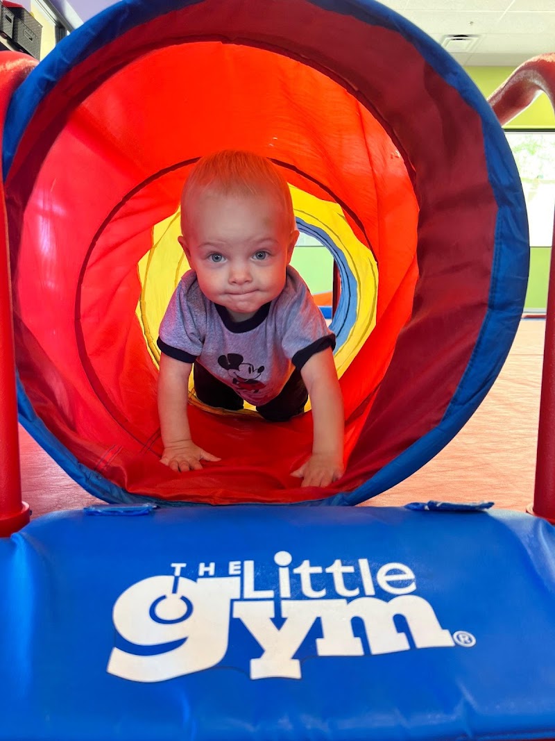 The Little Gym of Scottsdale photo 3
