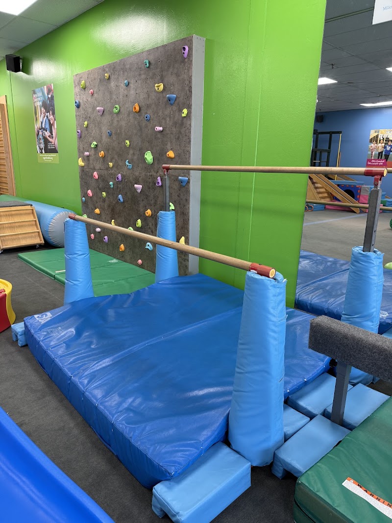 My Gym Children's Fitness Center