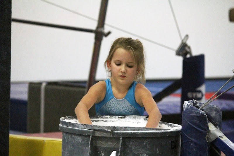 Sarasota Gymnastics Academy photo 2