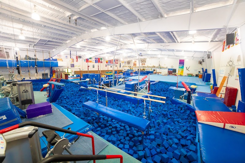 International Gymnastics School photo 2