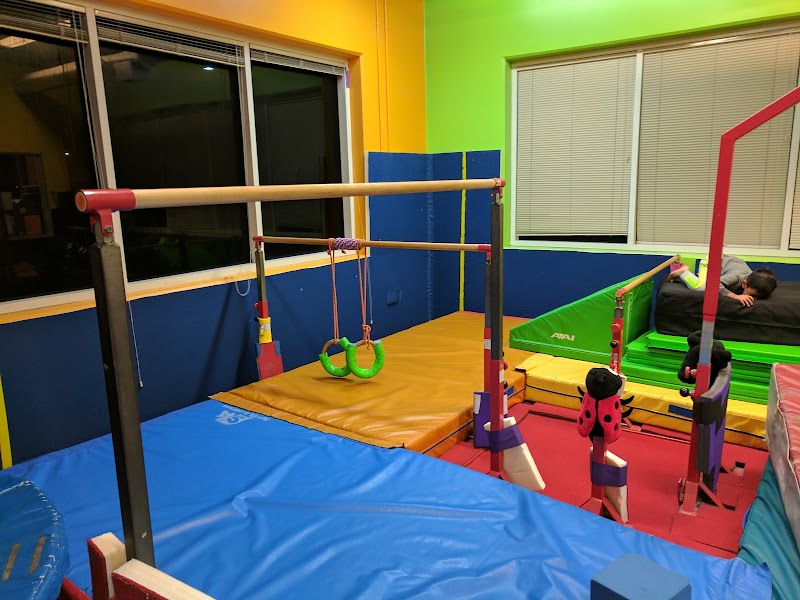 Airborne Gymnastics Training Center photo 3