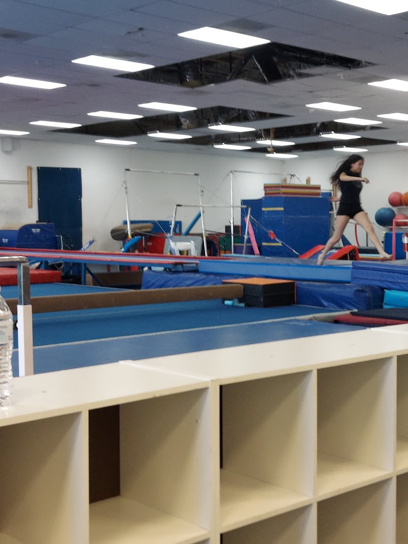 Acrobrats photo 2