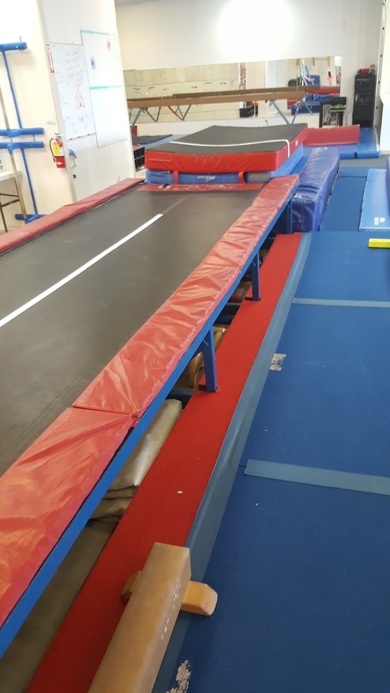 Acrobrats photo 3