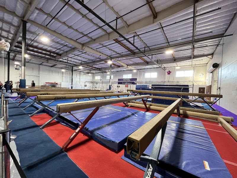 Accel Gymnastics