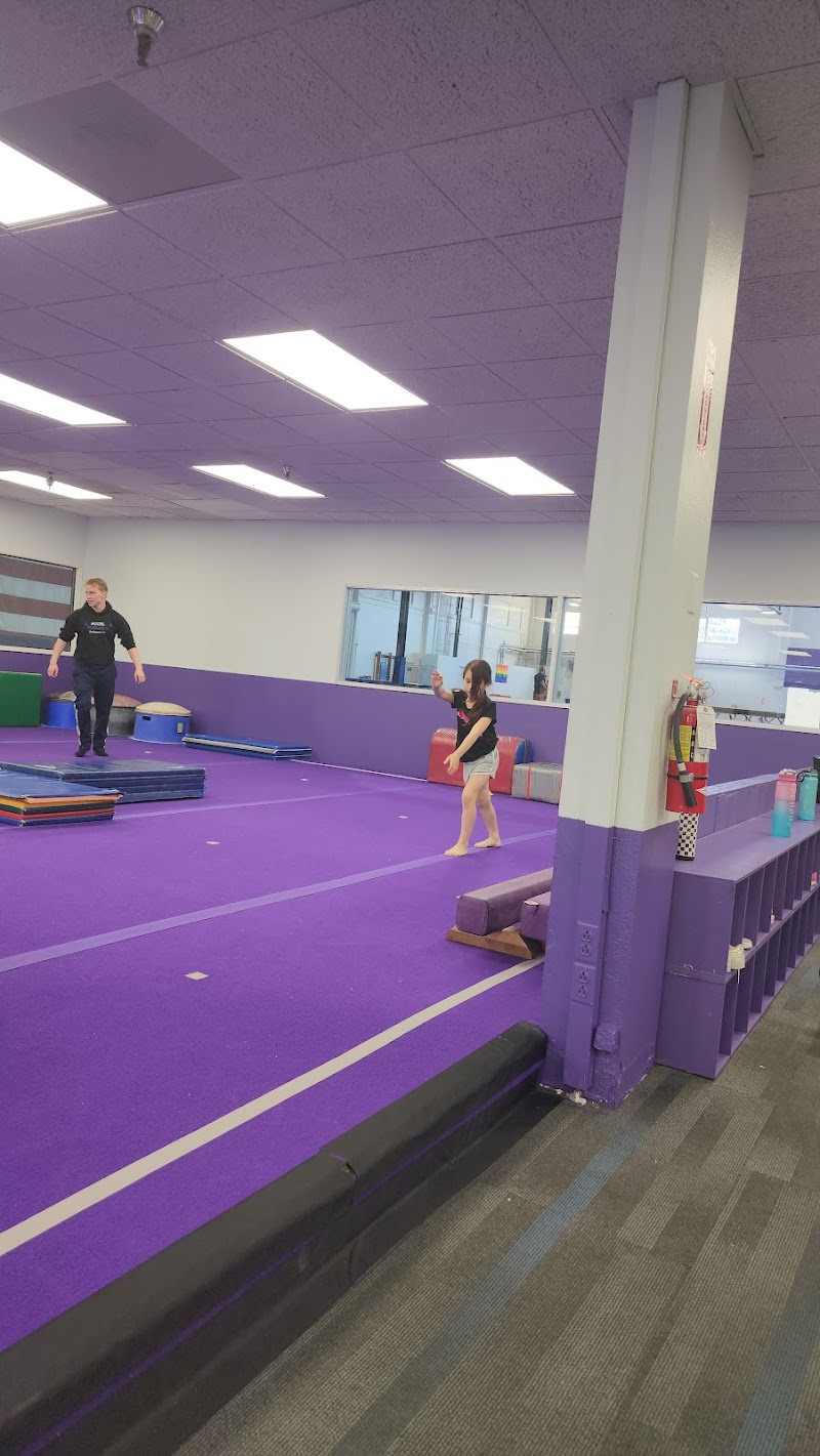 Accel Gymnastics photo 2