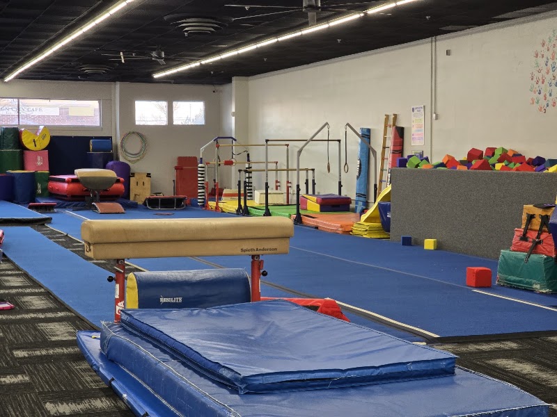 Michigan Academy of Gymnastics photo 3