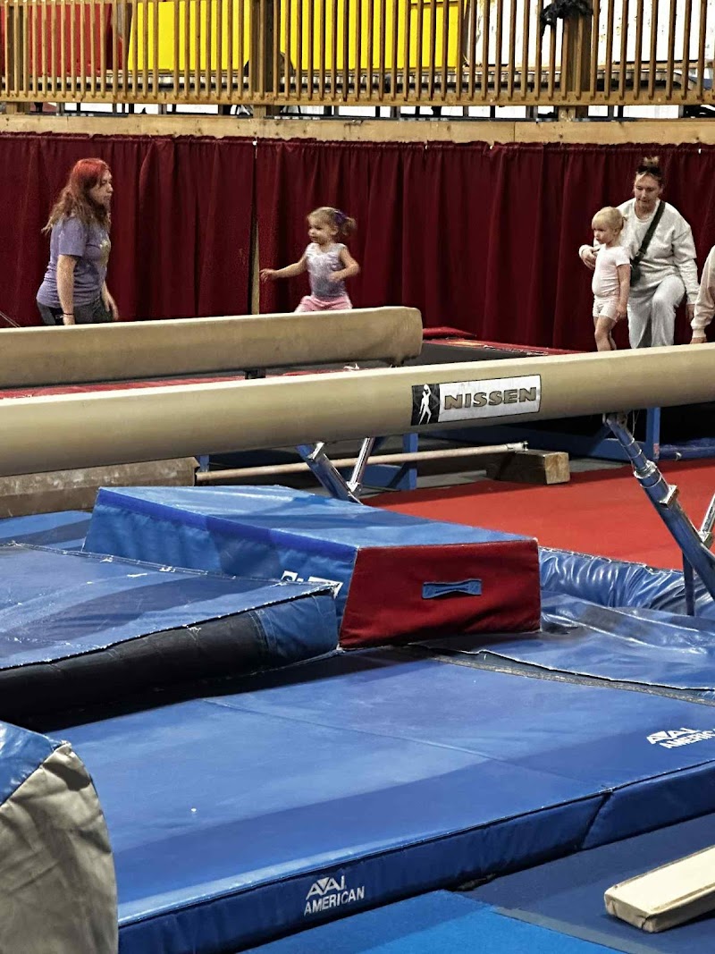 TNT Gymnastics photo 2