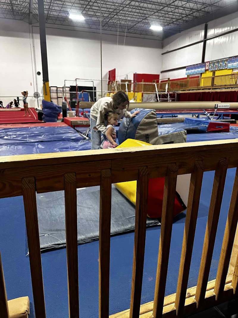 TNT Gymnastics photo 3