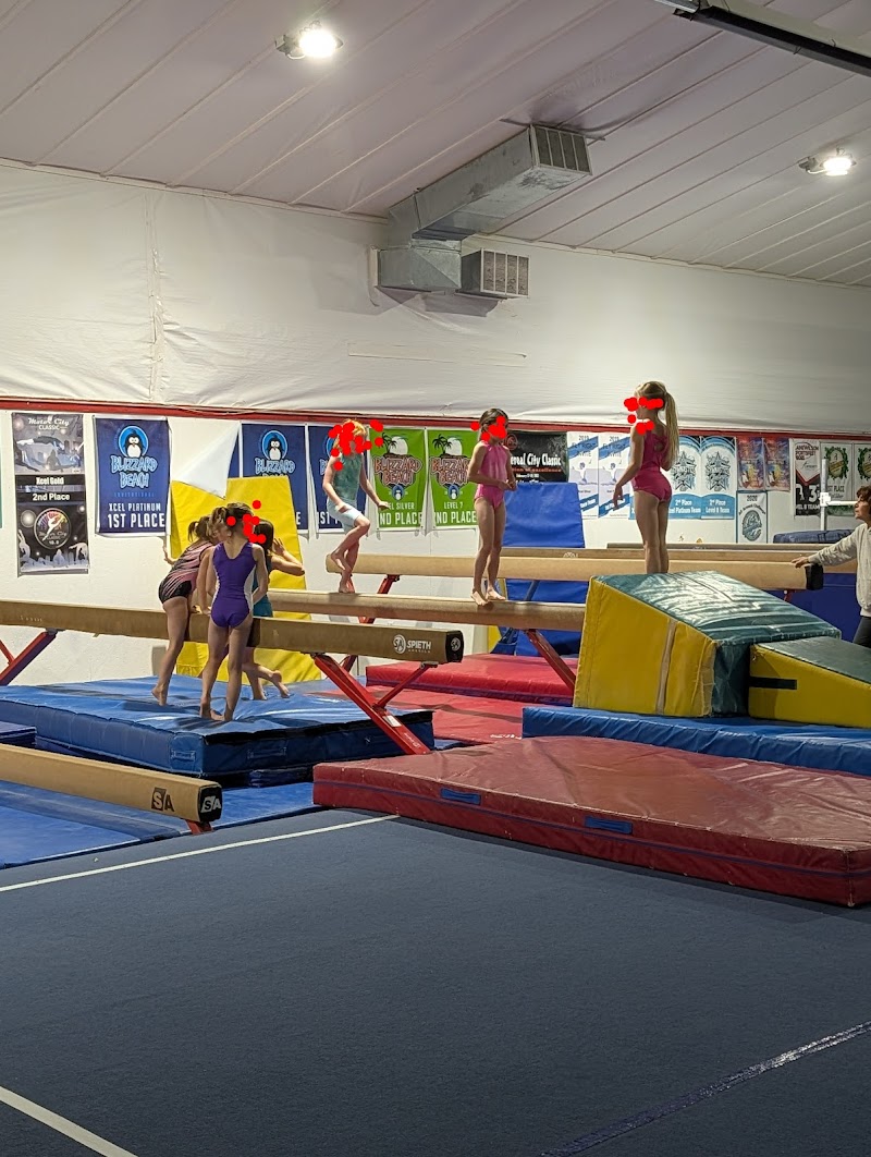 Medina Gymnastics Academy photo 2
