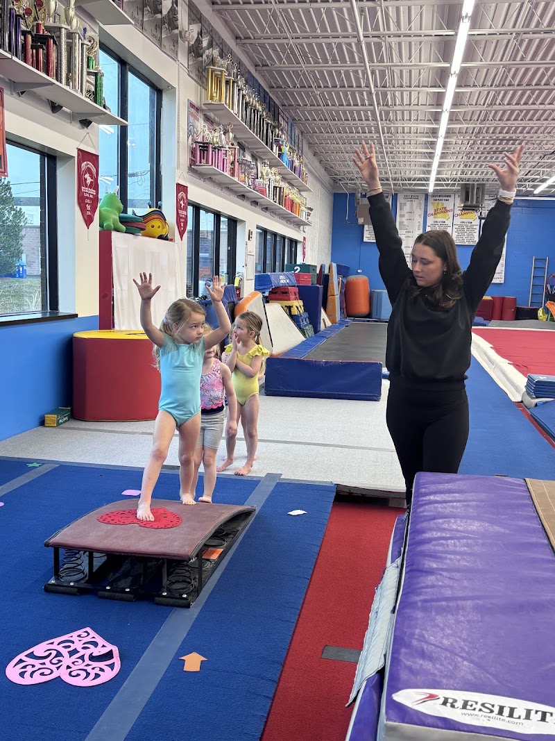 Olympia Gymnastics Training Centers - Corporate photo 1