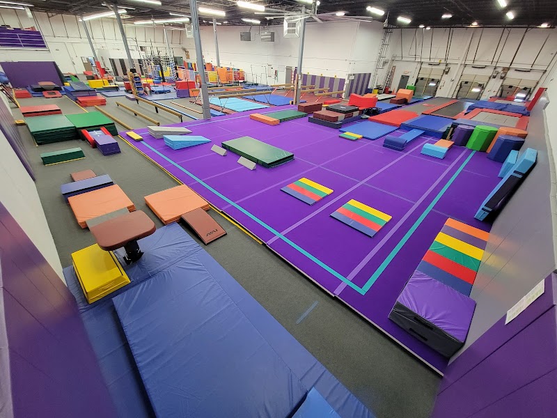 Gym Stars ETC photo 3